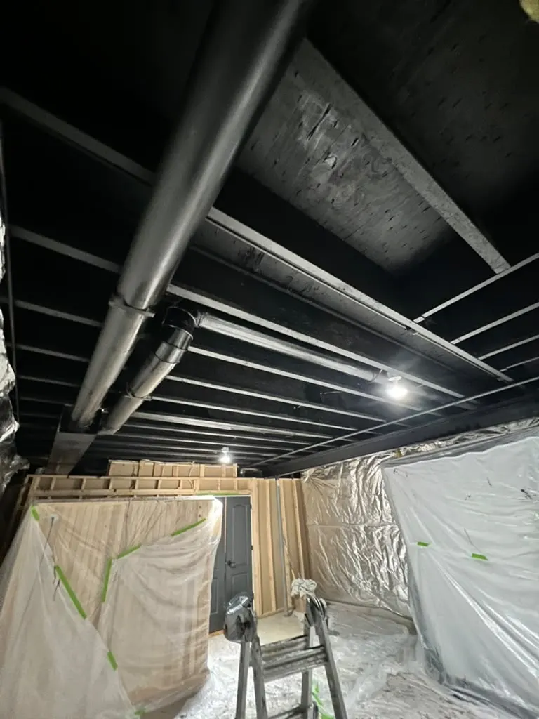 basement ceiling painting Plymouth Meeting PA article